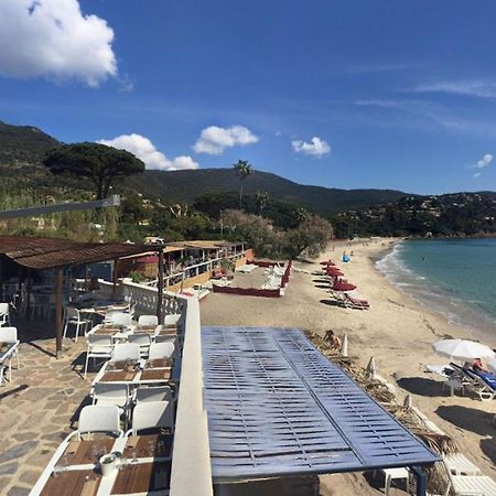 Appartement 3 Pieces 6 Pers Avec Terrasse, Clim, Piscine Privee, Parking - Fr-1-251-81 Le Lavandou Exterior photo